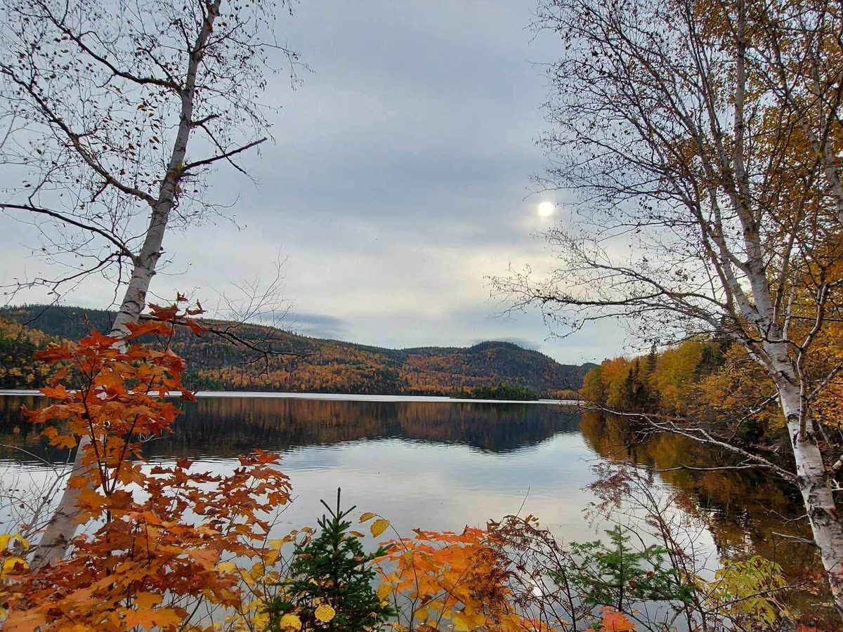 Le lac aux couleurs d'automne